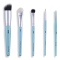 BLUE BRUSHES - SET
